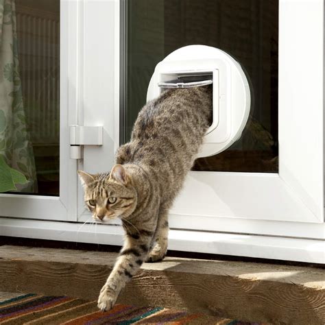 microchip cat door